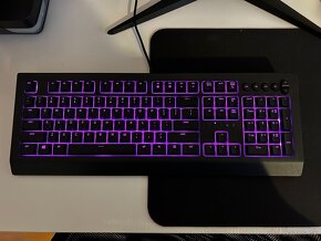 Klávesnica Razer Cynosa V2 - 4