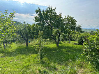 Záhradná chatka s pozemkom - 4