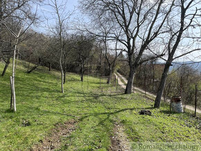 Rozsiahla vinica s chatkou nad obcou Hrušov - 4