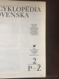 Pedagogická Encyklopedia Slovenska 1-2 - 4
