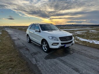 Mercedes-Benz ML 250 4MATIC - 4