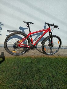 Specialized Rockhopper 29" - 4