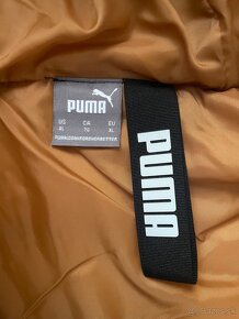 Puma bunda - 4