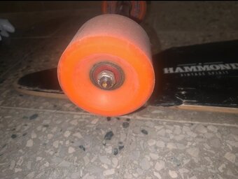 Longboard hammond pintail - 4