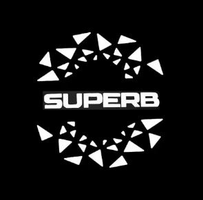 Superb 2 / 3 - LED logo projektor do dverí - 4