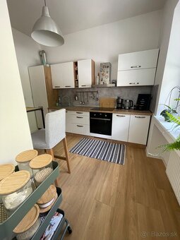 1 izbovy byt na Sihoti (Loft) 40m2 - 4