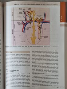 Guyton and Hall Textbook of Medical Physiology - 4