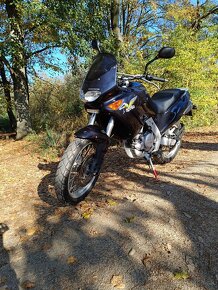 Aprilia pegaso 650  rotax rv 98 - 4