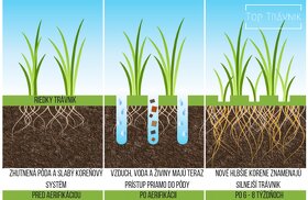 Aerifikácia (prevzdušnenie) a vertikutácia trávnika - 4