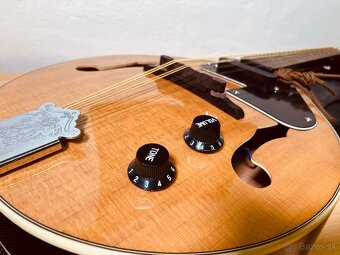 Mandolína SX MD30VT NA - 4