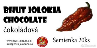 Chilli semienka na predaj - 4