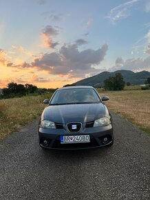 2007 Seat Ibiza 1.4 - 4