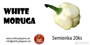 Predaj semienka chilli papričiek - 4