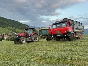 Agroslužby - odvoz / preprava Tatra Agro 815 - 4