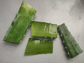 Aloe Vera  mydlo - 4