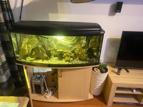 Akvarium 130x40x50 zaoblene - 4