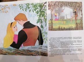 Walt Disney 3v1 šípková ruženka, robin hood, 101 dalmatíncov - 4