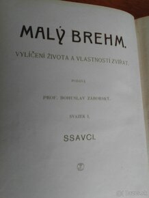 Malý Brehm - SSavci (1895) - 4