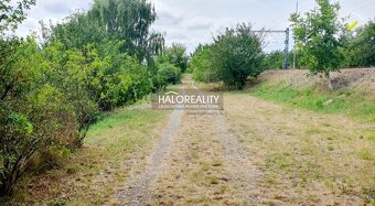 HALO reality - Predaj, záhradný pozemok   173 m2 Bratislava  - 4