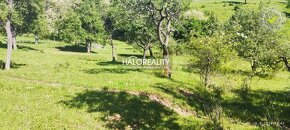 HALO reality - Predaj, rekreačný pozemok Krupina, iba 7 €/m2 - 4