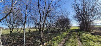 PREDAJ - slnečný pozemok v Kostolných Kračanoch, okr. Dunajs - 4