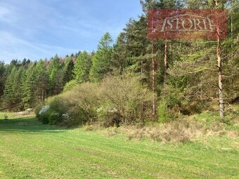 Lesný pozemok na predaj - Rudno - 4