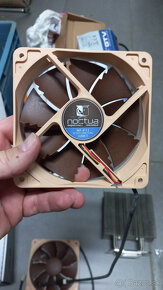 Noctua NH-U12P CPU chladic - 4