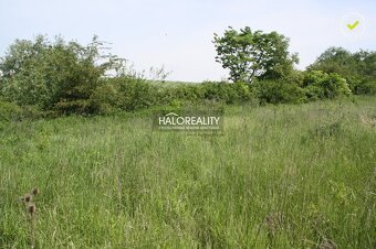 HALO reality - Predaj, orná pôda   17566 m2 Rozhanovce - 4