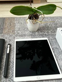 Apple iPad Pro 10.5" (2017) Wi-Fi 256GB + pero + kožený obal - 4