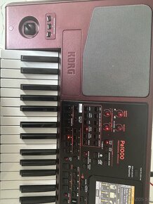 Korg pa1000 - 4