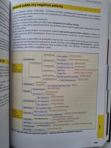 Lékařská Mikrobiologie - Repetitorium (3. vydanie) - 4