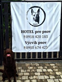 hotel pre psov, mesacny a dvojtyzdnovy vycvik s ubytovanim - 4