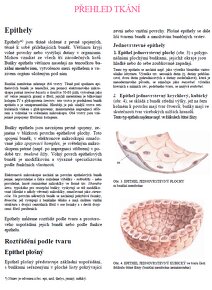 Učebnice anatómie (pdf-verzie v čestine) - 4