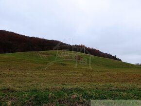 Veľký (86á) pozemok na okraji obce Papín/ Humenné - 4