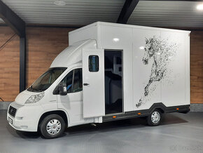 Fiat Ducato - prepravník na kone, prepravník koní - 4