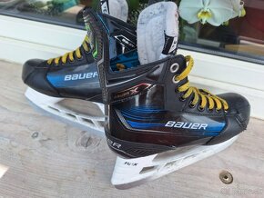 Bauer Nexus X - 4