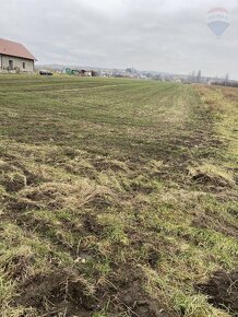 Predaj pozemku na výstavbu vinohradníckeho domu v  Skalici - 4