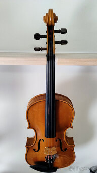 Viola 42 - 4