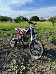 Pitbike minirocket 125 - 4