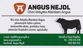 Prodáme plemenné býky Aberdeen angus - black - 4