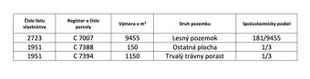 Podkylava – 614 m2 LESY a PÔDA – PREDAJ - 4