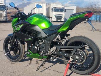 Kawasaki Z 300 - 4