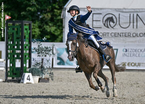 TOP pony klisna do sportu kat. A - 135cm - DOHODA O CENĚ Mož - 4