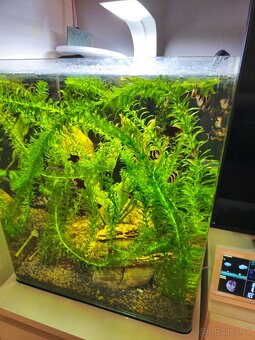 Akvarium 60l - 4