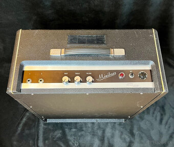 STEELPHON MINIBASS - VINTAGE 67´ - 4