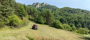 Mulčovanie ,čistenie pozemkov od naletových drevín - 4