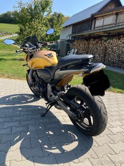 Honda Hornet CB600F 12/2006 - 4