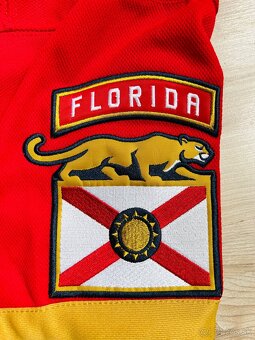 Florida Panthers - 4