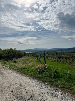 Predám pozemok v Modre, okres Pezinok: 783 m² - 4