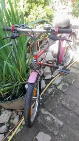 Detský bicykel 30eur/kus - 4